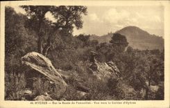 CPA Hyeres Sur la Route du Fenouillet Vue Vers la Colline d'Hyeres