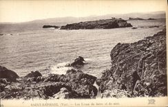 CPA Saint Raphael Les Lions de Terre et de Mer