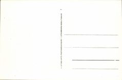 VINTAGE POSTCARD Beautiful Island at sea Point of the Foalta of the Rock the dog