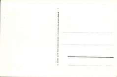 VINTAGE POSTCARD Beautiful Island at sea Port Cotton