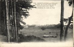 VINTAGE POSTCARD Montfaucon In Velay Station Of Cures of air edges of the wood of Fay Sheep