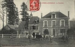 CPA La Doucelle La Prevotiere Vaches