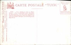 Montaje tomado visión del boro de la POSTAL de la VENDIMIA