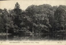 VINTAGE POSTCARD Montmorency Castle Of Hunting the Pond