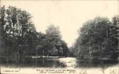 VINTAGE POSTCARD Wood De Vincennes Lake Of the Tiny ones