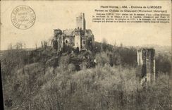 VINTAGE POSTCARD Surroundings of Limoges Ruins of the Castle of Chalusset