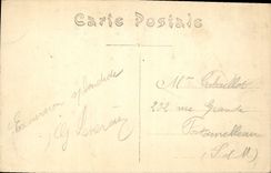 VINTAGE POSTCARD Island D' Yeu Rocks Yellow Head