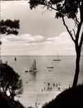 CPM L'Ile de Noirmoutier Vue sur la mer prise du bois de la Chaise