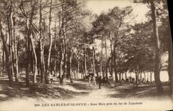 CPA Les Sables D'Olonne Sous Bois Pres du Lac de Tanchette