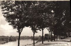 VINTAGE POSTCARD Montauban Walk of the Course and Edges of the Tarn