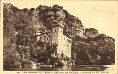 CPA Gorges Du Tarn Chateau De La Caze 