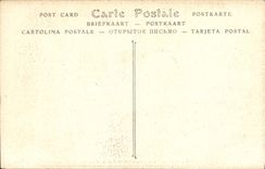 POSTAL Albi de la VENDIMIA la catedral co. Dimensiones bajas norteñas de Cecile Chapelle
