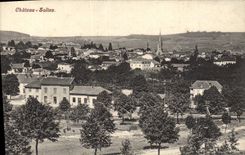 VINTAGE POSTCARD Castle Saline