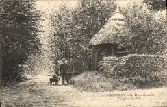 CPA Seignelay La Hutte Gauloise Vue Prise Du Parc