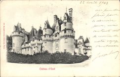 VINTAGE POSTCARD Castle of Custom