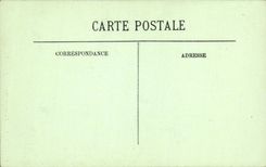 CPA Loches Entree Du Chateau Royal Chien