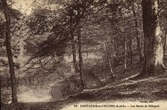 CPA Saint Leger En Yvelines Les Mares De Villepert