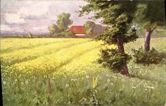 VINTAGE POSTCARD Landscape in the countryside