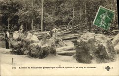 VINTAGE POSTCARD Picturesque Wood De Vincennes After the Cyclone Along the brook