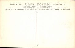 El panorama de la POSTAL de la VENDIMIA de París considerado como el cuervo vuela en la lumbrera de Tileries y está de París