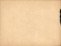 POSTAL Amberes de la VENDIMIA el museo