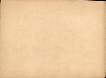 POSTAL de la VENDIMIA el parque