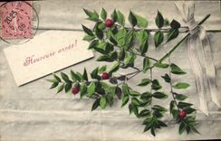 CPA Fantaisie Fleurs