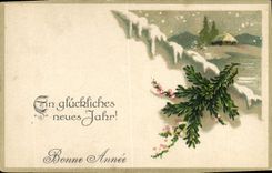 CPA Fantaisie Nouvel an