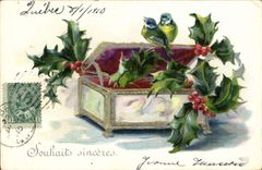 VINTAGE POSTCARD Fantasy Flowers Birds Houx Canada