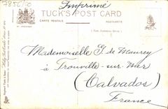 CPA Fantaisie Fleurs Oiseaux Houx Canada