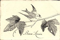 CPA Fantaisie Oiseau