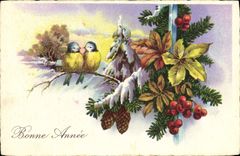 CPA Fantaisie Bonne annee Oiseaux 