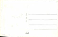 CPA Fantaisie Bonne Annee Oiseaux