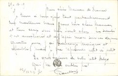 CPA Fantaisie Fleurs houx