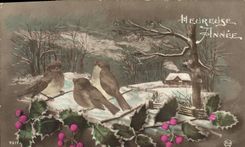 CPA Fantaisie Oiseaux