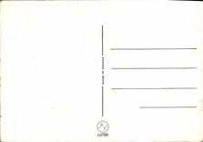 CPM Fantaisie Fleurs