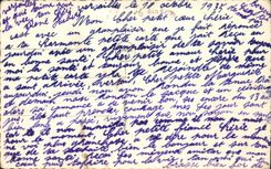 CPA Fantaisie Femme Chien Chiot