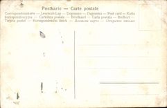 CPA Fantaisie Femme Le nid