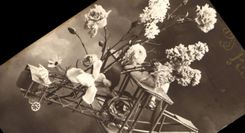 VINTAGE POSTCARD Fantasy Flowers Plane