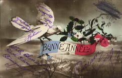 CPA Fantaisie Colombe Bonne annee
