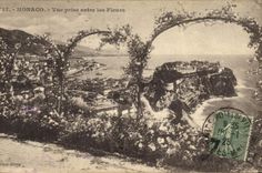 CPA Monaco Vue prise entre les Fleurs