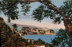 CPA Monaco Entre les Oliviers