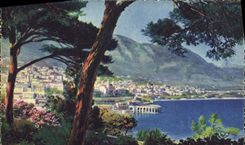 CPA Monte Carlo Vue Generale des Jardins de Monaco