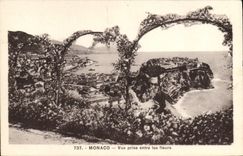 CPA Monaco Vue prise entre les fleurs