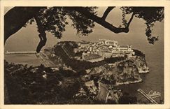 CPA Monaco Le rocher entre les arbres