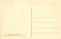 CPA Monaco Le rocher entre les arbres