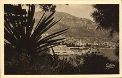 CPA Monte Carlo Entre les Arbres