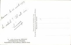 CPA Monaco Jardin exotique Echinocactus Grusoni Pilocereus Polylophus Cereus 