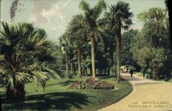 CPA Monaco Palais Vue Prise dans les Jardins