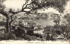 CPA Monaco Entre les Oliviers